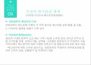 위기 관리법위기 관리제도위기관리 체계지방정부의  위기관리재난관리 지휘관리세월호사례 11페이지