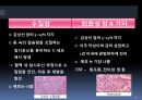갑상선암갑상선의 구조암의 정의갑상선 암의 원인갑상선의 기능 6페이지