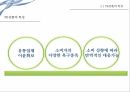 편의점 PB상품편의점 현황PB상품 매출비중PB상품의 개념PB상품의 특징PB상품의 유형유통업체 브랜드 8페이지