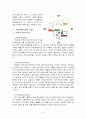 커피빈의 분석커피빈 커피시장커피빈 SWOT커피빈의 4P커피빈의 문제점커피산업 분석 6페이지