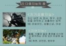 뇌와 지능다중지능다중지능의 배경다중지능 이론심리 측정학다중지능의 종류 11페이지