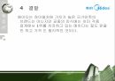 마케팅 성공사례메이디경쟁메이디vs하이얼서비스 네트워크 20페이지