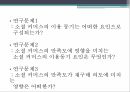 소셜 커머스온라인 쇼핑몰과 SNS온라인 쇼핑몰네트워크 방식이용과 충족이론 13페이지