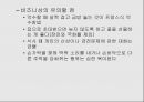 유럽 동구권 - 문화적 특성 4페이지