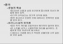 유럽 동구권 - 문화적 특성 10페이지