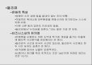 유럽 동구권 - 문화적 특성 11페이지