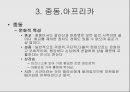 유럽 동구권 - 문화적 특성 14페이지