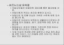 유럽 동구권 - 문화적 특성 16페이지