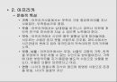 유럽 동구권 - 문화적 특성 17페이지