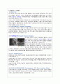 HIVD(Herniated Intervertebral Disc 추간판탈출증) 성인간호학 A+ Case Study 자료 7페이지