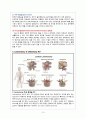 HIVD(Herniated Intervertebral Disc 추간판탈출증) 성인간호학 A+ Case Study 자료 12페이지