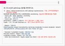 PBL자궁경부암간호 51페이지