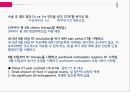 PBL자궁경부암간호 56페이지