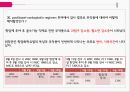 PBL자궁경부암간호 62페이지
