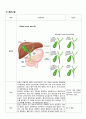 진단명 cute cholecystitis Klastkin tumor type Ⅲa 간호진단 조직 절개와 관련된 만성통증 침습적 시술과 관련된 감염위험성 11페이지