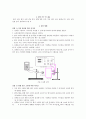 일반물리학실험보고서-전류가 만드는 자기장 4페이지