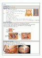 성인간호학 appendectomy case study 7페이지