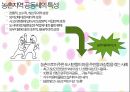 농촌마을사업(마을공동체 농촌지역공동체 마을사업성공사례 산채마을 체험마을 )PPT 프레젠테이션 6페이지
