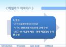 허점 투성이 금융 기법 13페이지