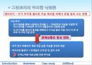 허점 투성이 금융 기법 17페이지
