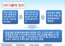 허점 투성이 금융 기법 31페이지