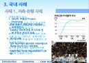 허점 투성이 금융 기법 33페이지