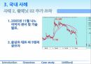 허점 투성이 금융 기법 34페이지