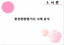 환경영향평가의 문제점환경영향평가의 사례환경영향평가의 절차환경영향평가의 특징 3페이지