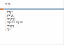 환경오염 제설제염화칼슘제설제 대책 2페이지
