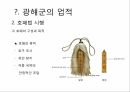 광해군의 업적,대동법 시행,호패법 시행,실리적인 외교 6페이지