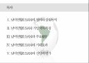 남미연합(USAN)의 정의,남미연합(USAN),남미공동시장 2페이지