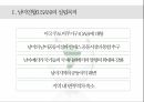 남미연합(USAN)의 정의,남미연합(USAN),남미공동시장 4페이지