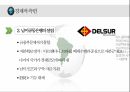 남미연합(USAN)의 정의,남미연합(USAN),남미공동시장 10페이지