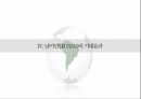 남미연합(USAN)의 정의,남미연합(USAN),남미공동시장 13페이지