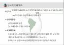 남미연합(USAN)의 정의,남미연합(USAN),남미공동시장 17페이지