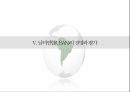 남미연합(USAN)의 정의,남미연합(USAN),남미공동시장 18페이지