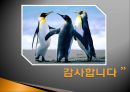 시민교육,환경오염,녹색연합,대기오염의 원인 8페이지