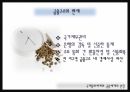 국제 통화체제,금융체제,고정환율제,금융혁명과 통화문제,국제통화체제 15페이지