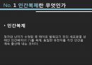 인간복제,인간복제란,생식세포 복제,체세포 복제,사회적 순기능,사회적 역기능 3페이지