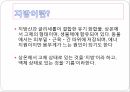 지방이란,지방의 종류,포화지방산Fat,불포화 지방oil,EPA ,DHA,콜레스테롤,트렌스 지방,필수지방,지방이 하는 역할은,지방이 부족하면 2페이지