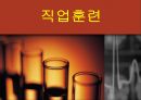 직업훈련,직업훈련의 개념,직업훈련의 의의,직업훈련의 원칙,직업능력개발훈련의 원칙,ILO의 직업재활 권고,직업훈련의 과정 1페이지