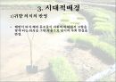 채만식 허생전,채만식 작품분석,비판적 리얼리즘,작품분석 6페이지