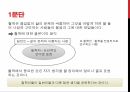 철학과 물음 3페이지