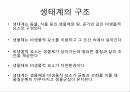 지구온난화와 기후변화,지구온난화의 영향,생태계의 구조,생물생태계의 구성요소,자정능력,환경파괴 6페이지