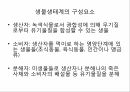 지구온난화와 기후변화,지구온난화의 영향,생태계의 구조,생물생태계의 구성요소,자정능력,환경파괴 7페이지