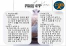 파리바게뜨 마케팅,파리바게뜨 PB의 기업,파리바게뜨 PB의 산업,파리바게뜨 SWOT분석,파리바게뜨 PB의 STP분석 9페이지