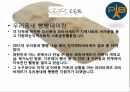 파리바게뜨 마케팅,파리바게뜨 PB의 기업,파리바게뜨 PB의 산업,파리바게뜨 SWOT분석,파리바게뜨 PB의 STP분석 12페이지