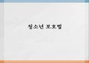 청소년 보호법의 목적 1페이지