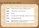 커피학개론, 인도네시아 커피, 브라질 커피 4페이지