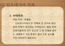 커피학개론, 인도네시아 커피, 브라질 커피 7페이지